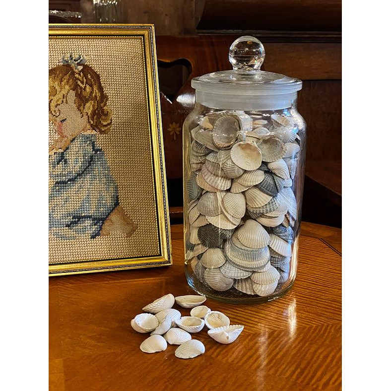 #19世紀  英國製老玻璃糖果罐 『包含內裝的貝殼』『乾淨無異味』『厚實老玻璃』#923148