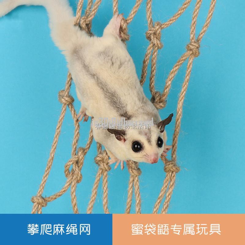 【小旋嚴選】小寵玩具 蜜袋鼯攀爬網飛鼠用品玩具蜜袋鼬小蜜爬繩麻繩網鞦韆吊繩自由變形