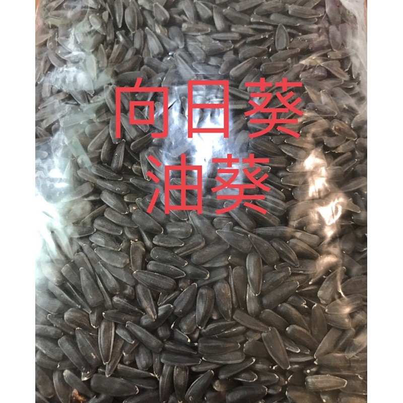 向日葵芽 Ptt Dcard討論與高評價網拍商品 21年9月 飛比價格