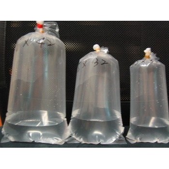 阿毅水族(高雄)---35*60圓底活體包裝專用塑膠袋