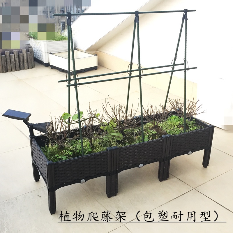 植物支架 Ptt Dcard討論與高評價網拍商品 21年8月 飛比價格