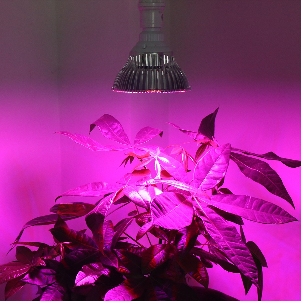 種植燈,室內蔬菜,led植物生長燈50w-e27,植物光合燈