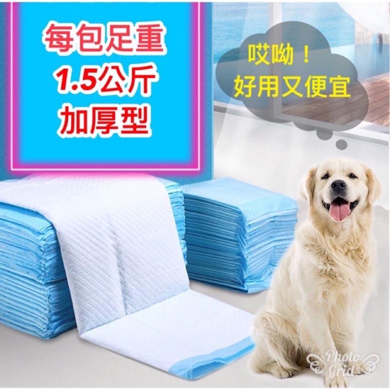 威哥寵物 電子發票由蝦皮代開 尿布尿布墊寵物尿布狗尿墊狗尿布業務包加厚款1 5公斤寵物尿布墊天天出貨 蝦皮購物