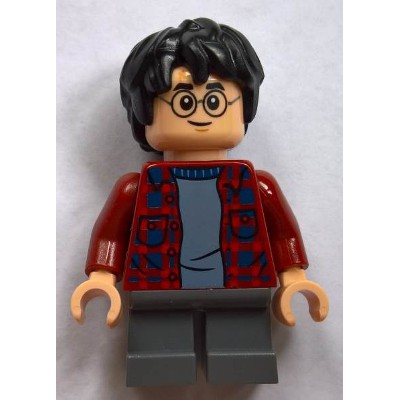 ［想樂］『人偶』全新 樂高 Lego HP143 哈利波特 Harry Potter (75953)