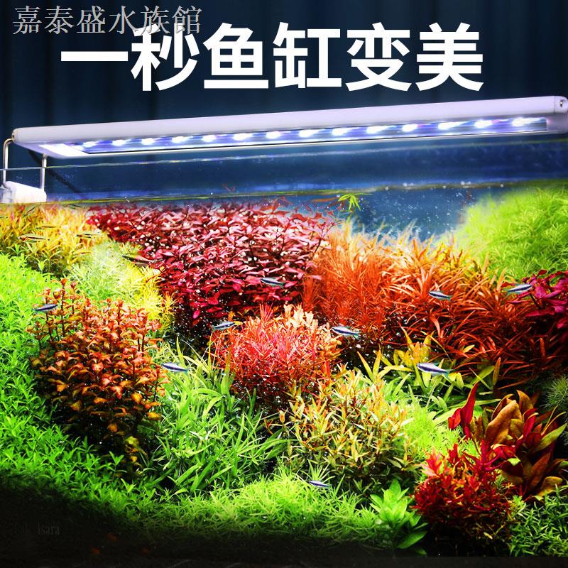 現貨熱銷 魚缸led防水照明專用全光譜小型增艷節支架燈架水族箱爆藻水草燈 蝦皮購物