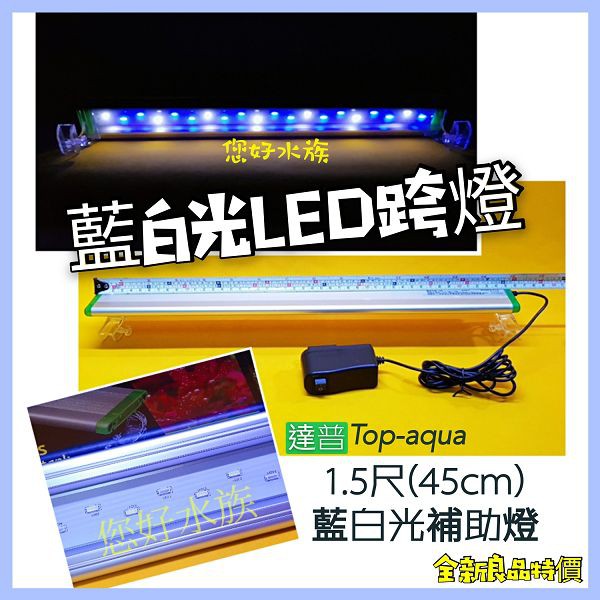 螢光魚燈藍白燈海水補助燈雅柏跨燈1 5尺水族led燈藍燈13顆 白燈7顆軟體輔助燈純養魚慈鯛 您好水族 蝦皮購物