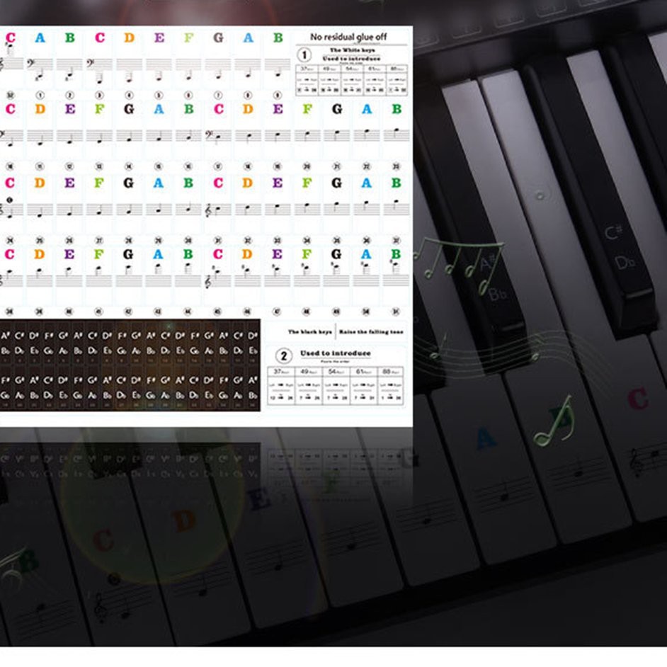 61 54 49鍵鋼琴簡譜音階透明貼紙彩色 蝦皮購物