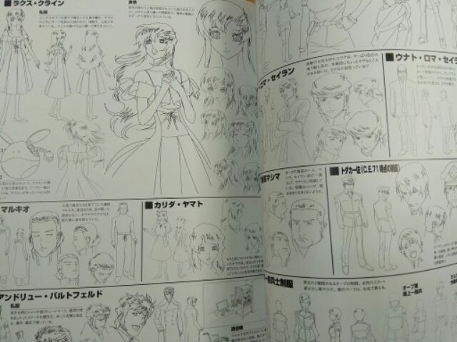 機動戰士鋼彈seed Destiny 官方設定集機動戦士ガンダム運命の架け橋公式ガイドブックgundam 蝦皮購物