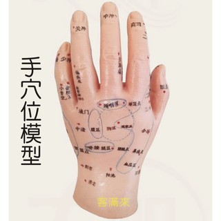 可開發票 經絡 手部 針灸 模型 手穴道模型 手部 反射區模型 手模 穴位模型 按摩手模型 ARJT客滿來