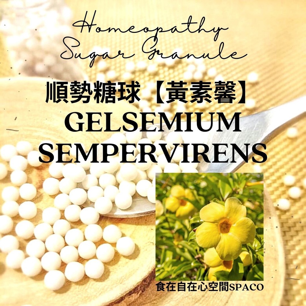 順勢糖球【Gelsemium Sempervirens●黃素馨】Homeopathic 9克 食在自在心空間