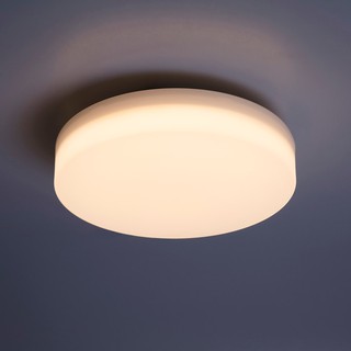 新莊好商量~MARCH LED 22W 吸頂燈 月禾 壁燈 IP55 防水 防塵 適用陽台走廊玄關 1-2坪 全電壓