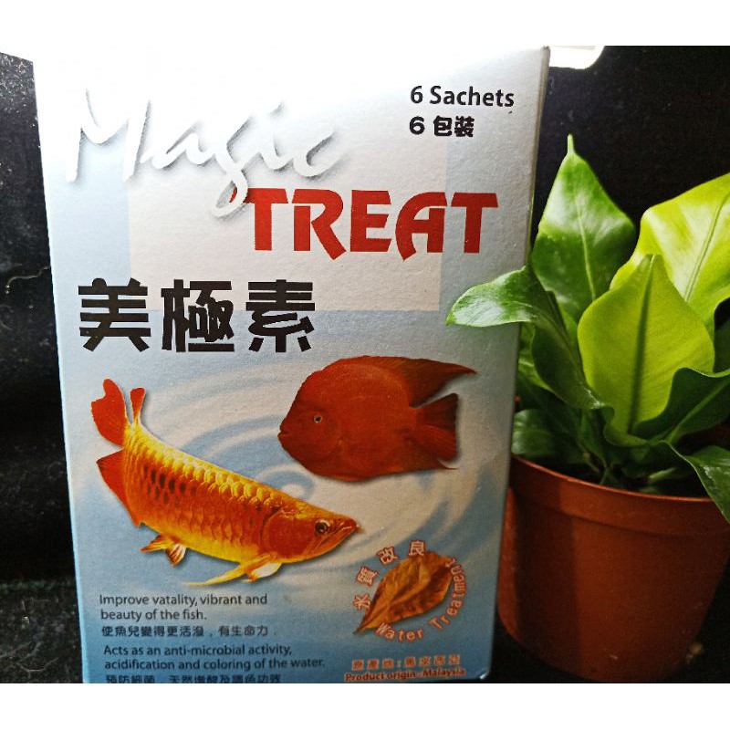 純天然欖仁葉 美極素鬥魚龍魚 金魚 血鸚鵡 三間鼠適用 蝦皮購物