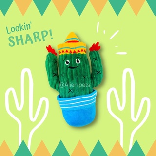 外星生物Alienpets🐾仙人掌磨牙耐咬玩具寵物發聲玩具🌵