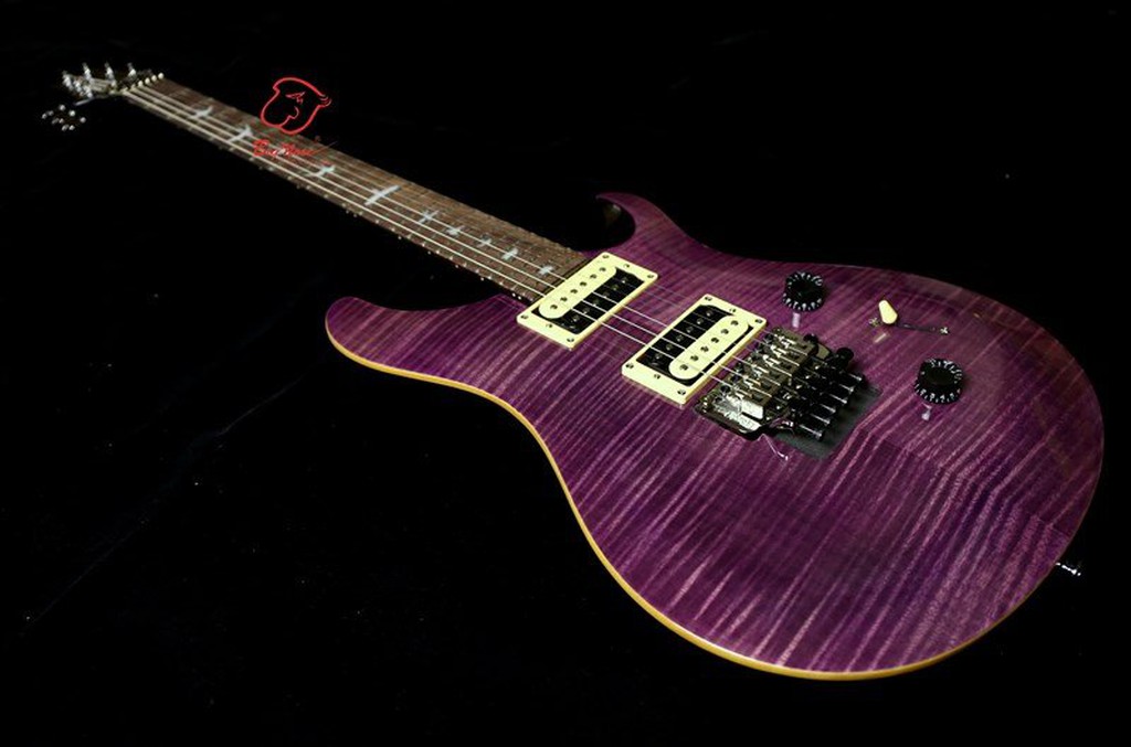 大鼻子樂器 現貨 零利率分期 2015 PRS SE Custom 24 Floyd 大搖座 登場