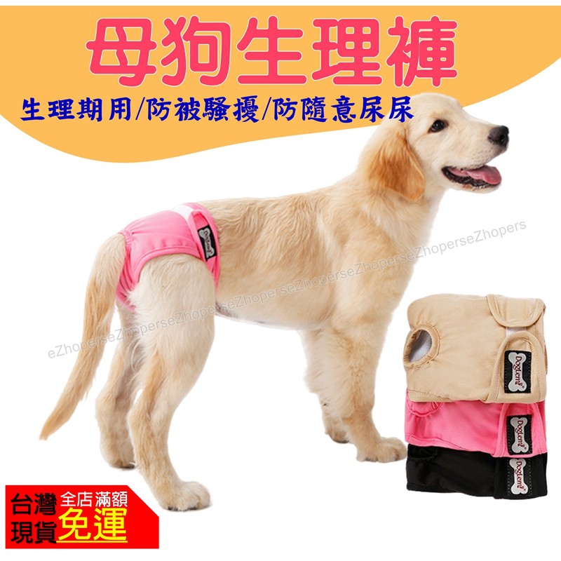 台灣現貨 寵物衣服寵物生理褲母狗生理褲狗狗生理褲寵物內褲母狗內褲狗尿褲寵物環保尿布老狗尿布 蝦皮購物