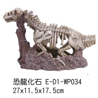 微笑的魚水族☆【恐龍化石】E-D1-WP034