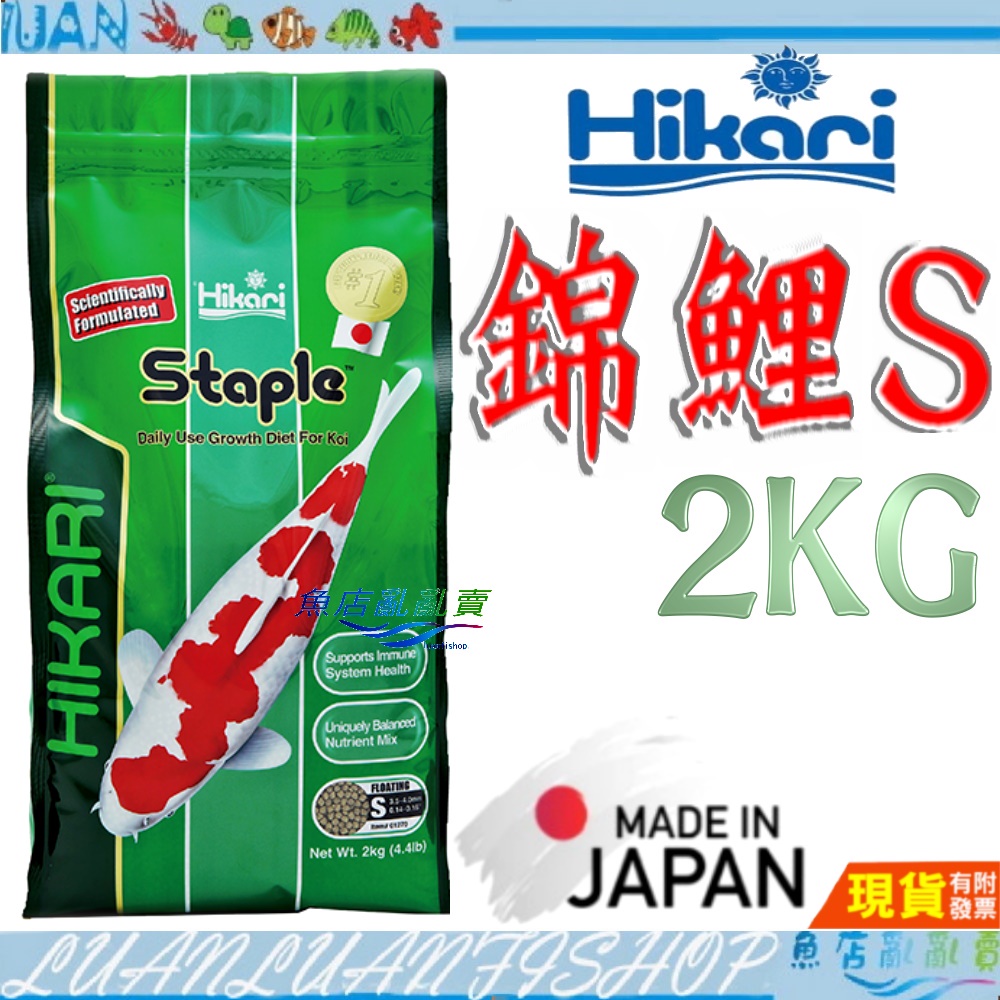 【魚店亂亂賣】日本高夠力 錦鯉主食飼料 S 2kg、M 5kg 浮水性 增豔飼料 錦鯉飼料 Hikari