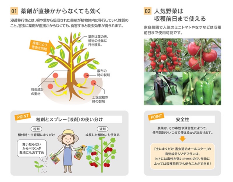 分裝版50g 虫害 蚜蟲 粉蝨 薊馬 青虫 杜鵑冠網蝽 日本アース製藥害虫予防撒粒 蝦皮購物