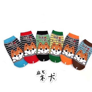 台灣製童襪 3-6歲 7-12歲 柴犬丶警車 、愛心熊止滑襪