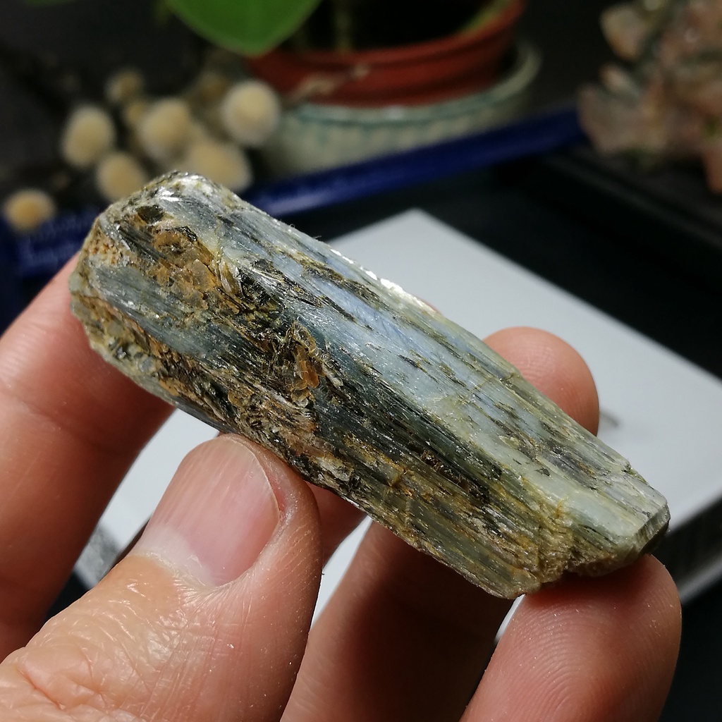 [友克鑫礦業]da82約重33.2g-藍晶石原礦 Kyanite 無加工天然晶礦