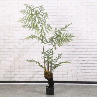 蕨類仿真植物❤️宅配免運費❤️模擬猴頭蕨 金毛狗蕨 假樹 室內中式園林系 庭院造景 裝飾綠植物 盆栽景觀