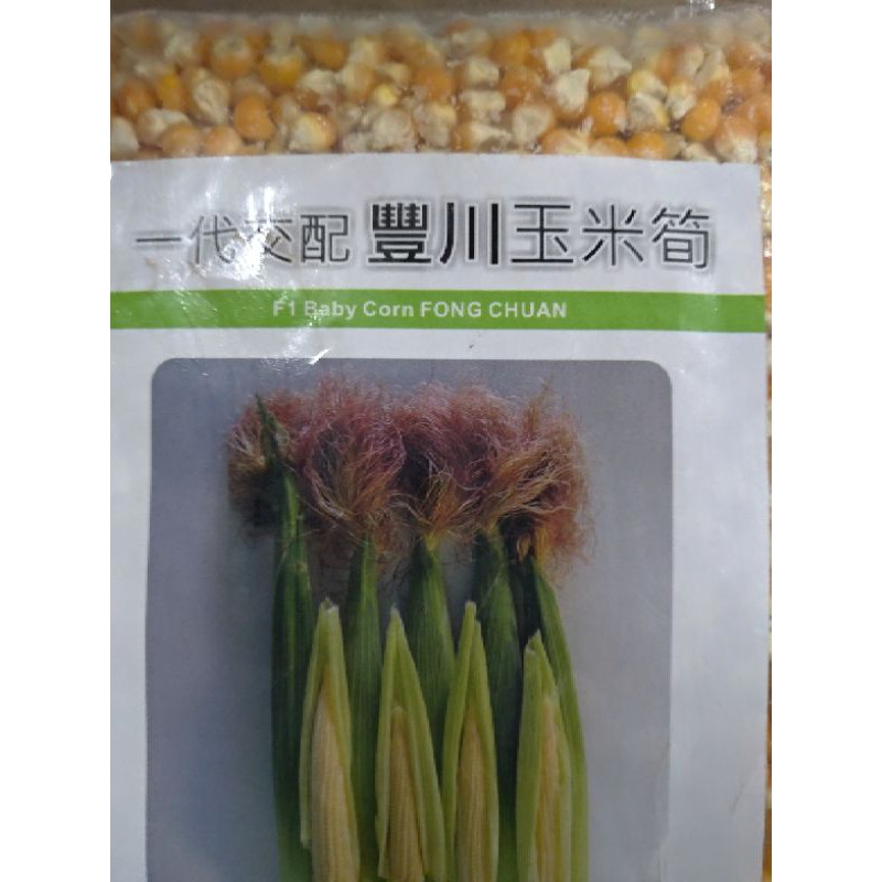 玉米筍種子一磅分裝包