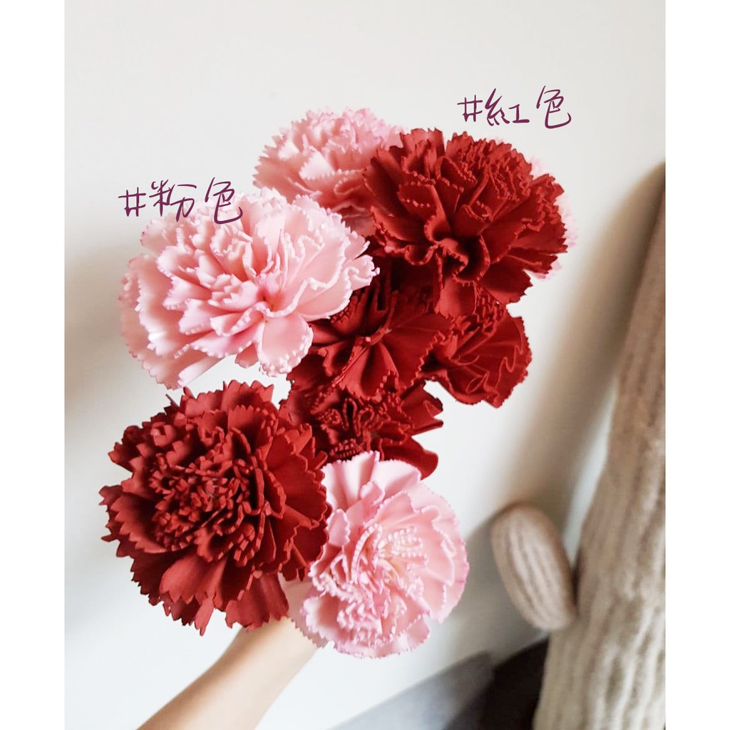 芳馨花園現貨✔ 索拉花康乃馨4cm/單支 ♥乾燥花擴香花，求婚情人節花束 乾燥花禮禮物畢業花束等