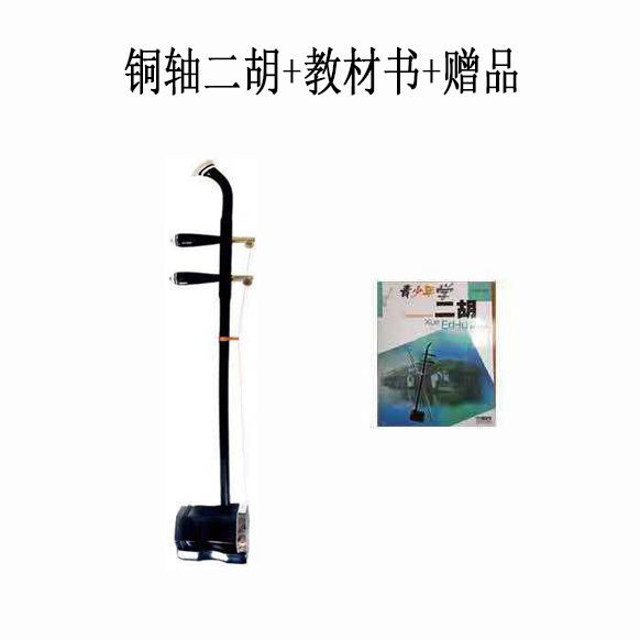 二胡初學演奏電子教程成人青年老人二胡民族樂器專業二胡樂器ab 蝦皮購物