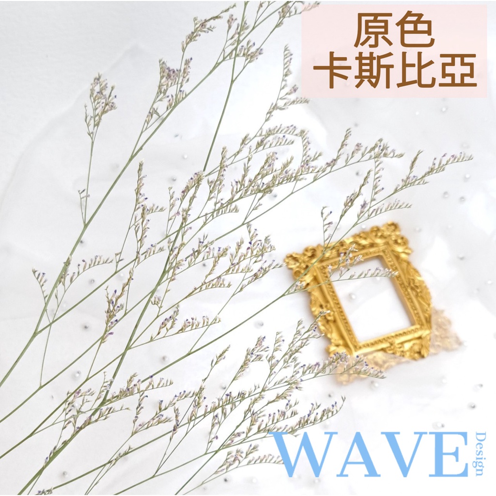 《 WAVE Design 》現貨 原色 卡斯比亞 乾燥花素材 情人草 天然乾燥花 植物果實 花材 花藝材料 拍照道具