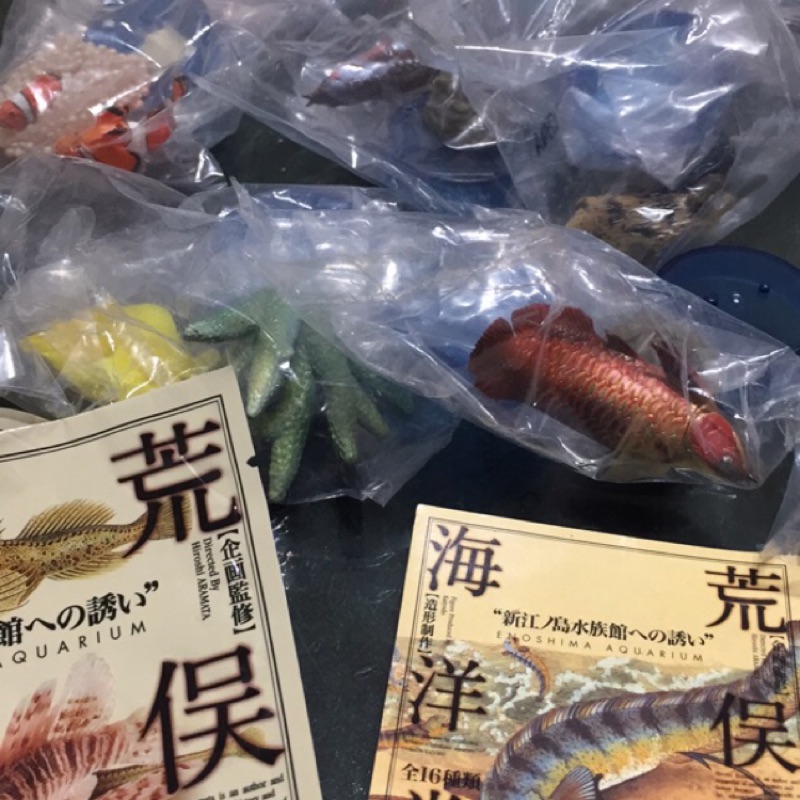 海洋堂 新之島江 水族館 企鵝 水母 龍蝦 獅子魚 紅龍魚 深海魚 鯊魚 海龜 瓶蓋 擬真 日本水族館立體圖鑑扭蛋