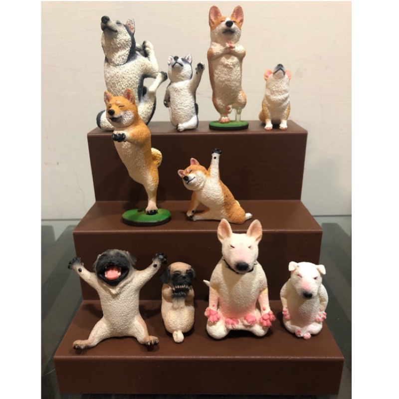 猓創意 階梯展示架 狗瑜珈大師 Baby Yoga Dog 朝隈俊男 轉蛋 扭蛋 Animal Life 蝦皮購物