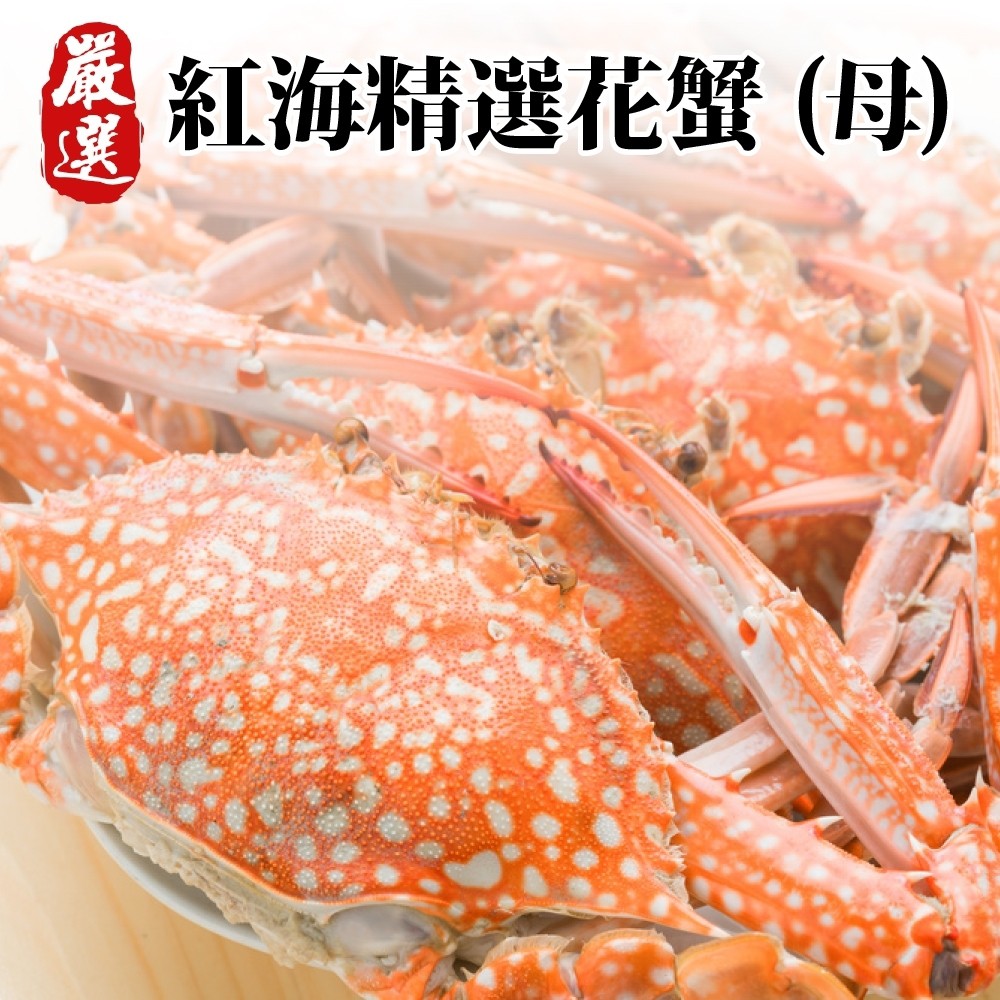 斯里蘭卡母花蟹 海陸管家 全省免運 蝦皮購物