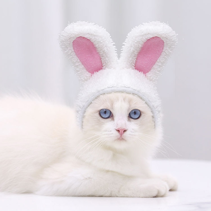 【合氣道】搞笑寵物帽子貓狗可愛兔子毛絨兔子耳朵帽子派對角色扮演寵物配件