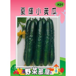 【萌田種子】K01 夏之輝小黃瓜種子8公克裝(約305顆) 夏輝小黃瓜 多收品種 市場評價高~