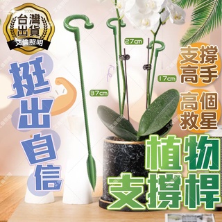 【臺灣出貨-撐住！】 植物支架 植物支撐杆 盆栽支架爬藤支架 園藝支架 蘭花支架 植物支撐桿 花盆支架 盆栽支撐架 花卉
