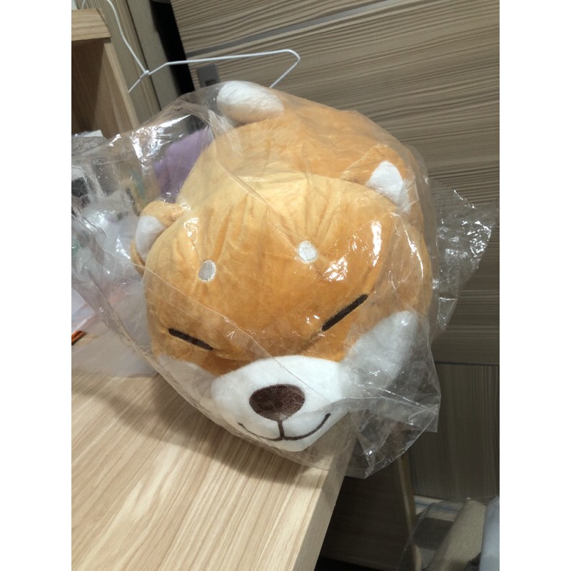 中型趴睡柴犬娃娃😍😍😍