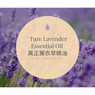 【MW精油工坊】真正薰衣草 Ture Lavender Essential Oil 10ML /30ml