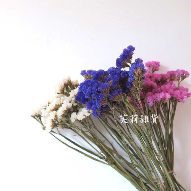 乾燥花乾燥花材星辰花 賣場滿0才會出貨 不含運費 蝦皮購物