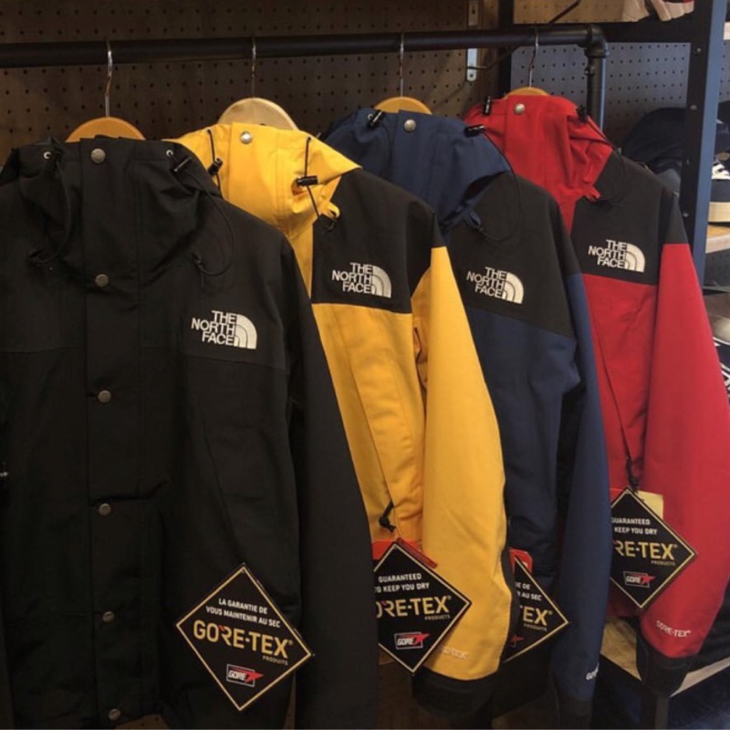 north face 1900 mountain jacket