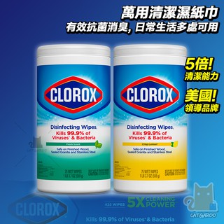 美國 Clorox 高樂氏 萬用清潔擦拭濕巾 濕紙巾 85抽 清潔效果佳 廚房/居家/辦公 抗菌/清潔/去汙