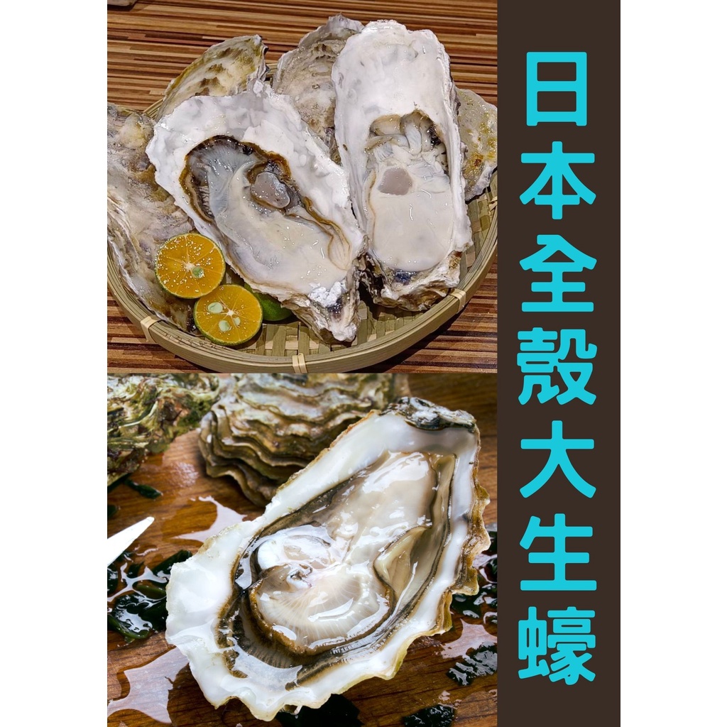 ★金星冷凍食品福利社★日本宮城縣全殼生蠔(8顆)(1kg±10%)-全館任選滿2000元免運費