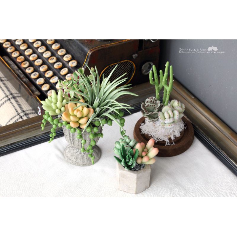多肉植物黏土組盆設計 台北基隆台中台南桃園 黏土課程初階 蝦皮購物