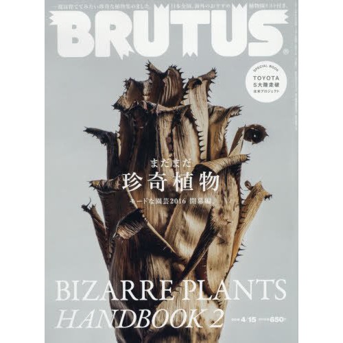 BRUTUS (ブルータス) 2016年4/15號雜誌 /南非塊根植物/松葉蕨