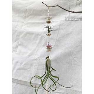 《Let's Knit》空鳳寶寶掛飾 ▎法式編織 ▎棉繩編織 ▎空氣鳳梨 ▎植物掛籃 ▎植物吊飾