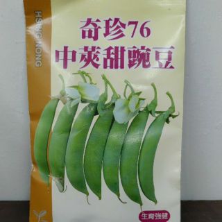 櫻桃蘿蔔種子diy 懶人盆便利盆只需澆水 30天可收成過年酸梅醃漬涼拌伴手禮亦可當擺飾 蝦皮購物