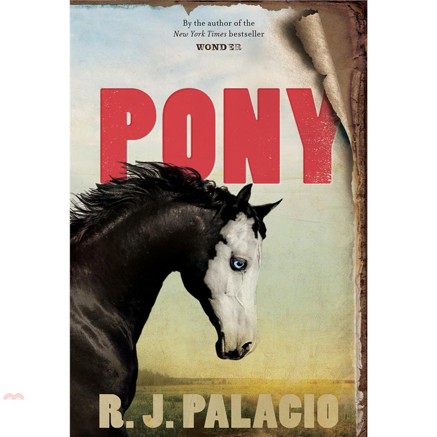 Pony【金石堂、博客來熱銷】