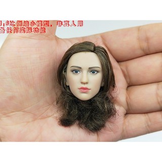 【現貨AH-039】1/6 12吋（ 頭雕 ) TBLeague 維京女人可動人偶PL2020-162