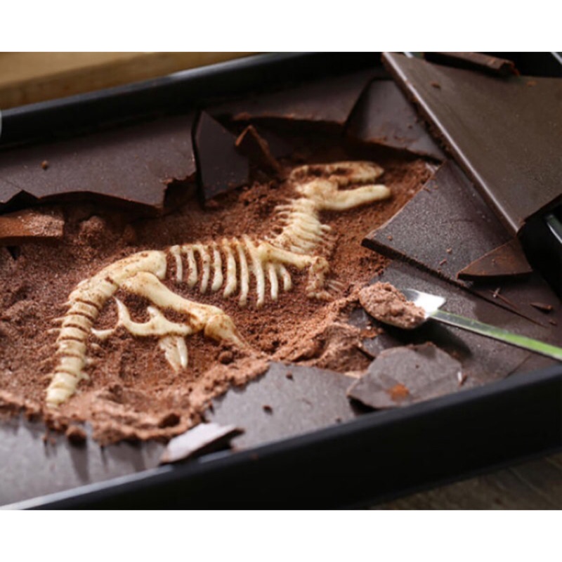 木匠手作-恐龍化石巧克力（考古巧克力）
