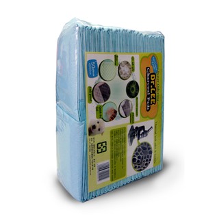 Dr. Lee 專業用活性碳尿布 寵物尿布墊 50入/100入X２包/組 單筆超取限1組(H003A11) 力奇 寵物
