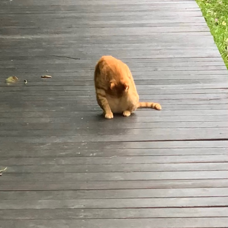 顧客